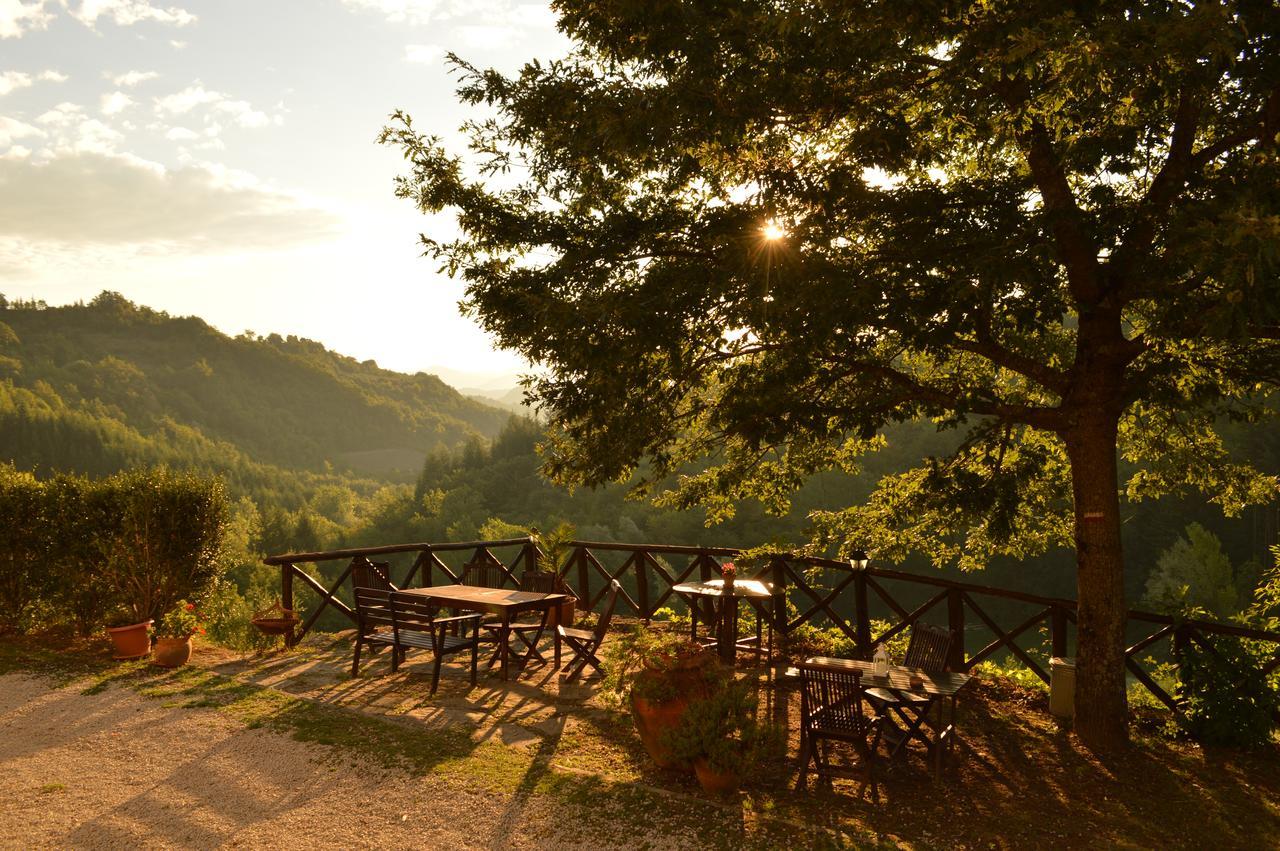 BIO AGRITURISMO IL VIGNO CAPRESE MICHELANGELO Italia da 127